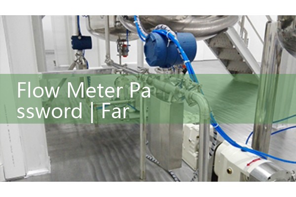 Flow meter password